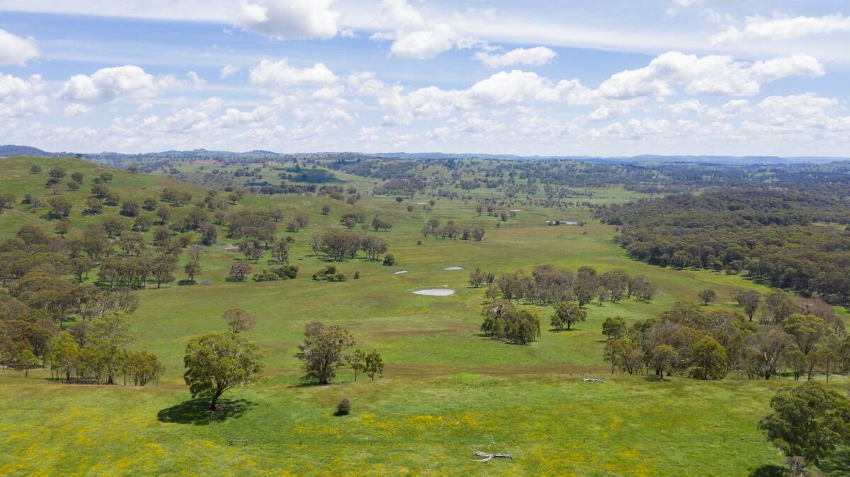 RELIABLE RAINFALL: An unnamed Queensland family has bought Jackson Agriculture's pair of northern NSW properties.