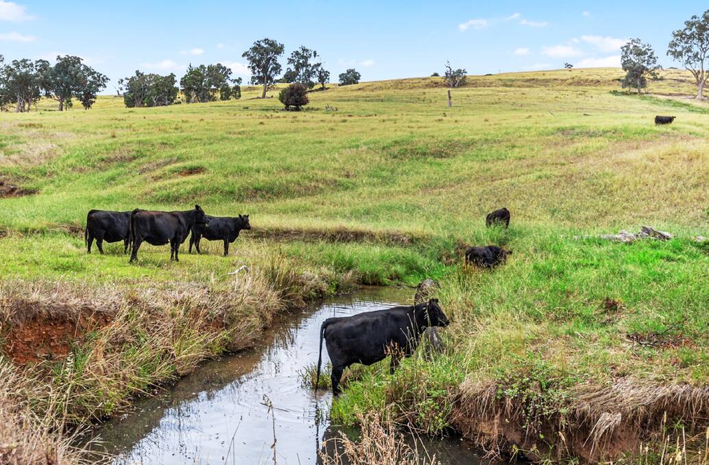 Water security is one of the chief features of this little farm in the King Valley. Pictures: Elders Real Estate.