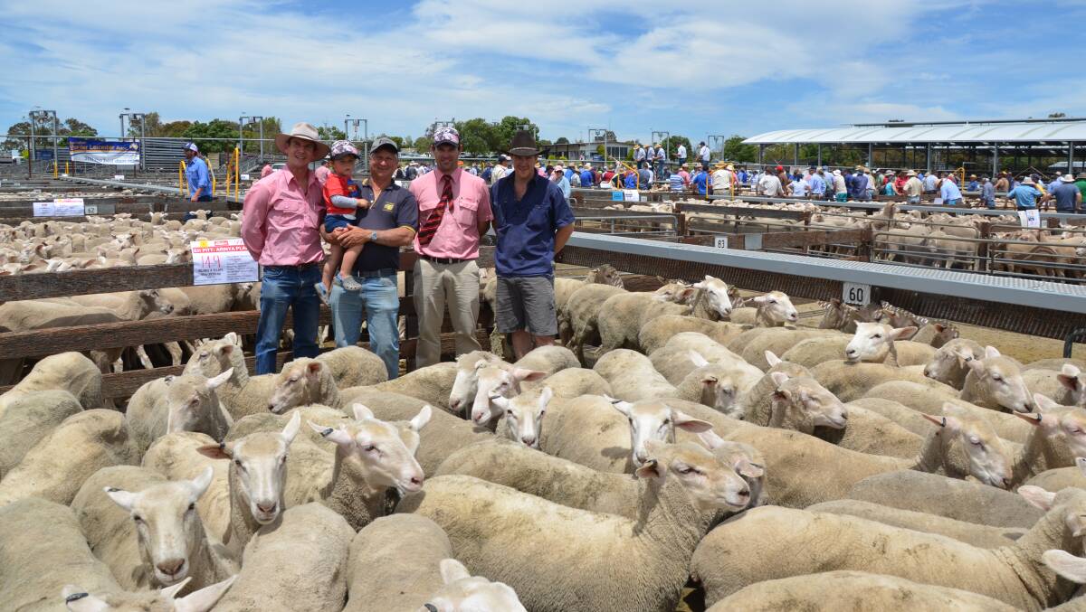 Number two on the list is south-east South Australia which enjoys strong returns from sheep, wool, beef and dairy. Picture: Stock Journal.