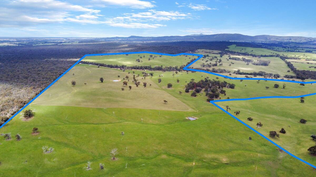 The Great Western farm block sold at auction yesterday for $5050 an acre.