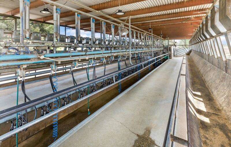 The Kerang dairy can accommodate 300-450 milking cows with a 25 per side swing-over Herringbone dairy.