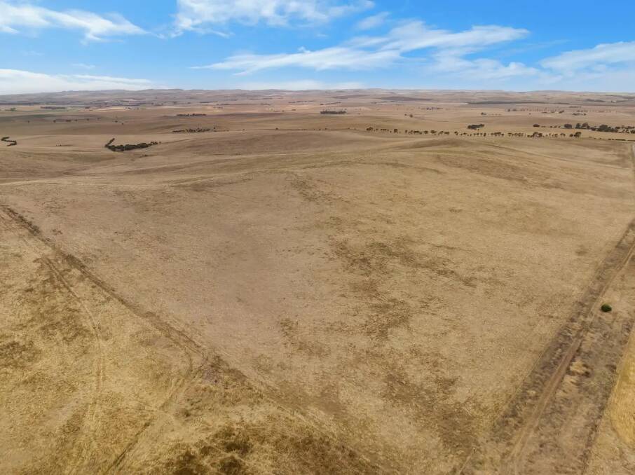 Single bidder manages to buy handy farm block in SA's Mid North