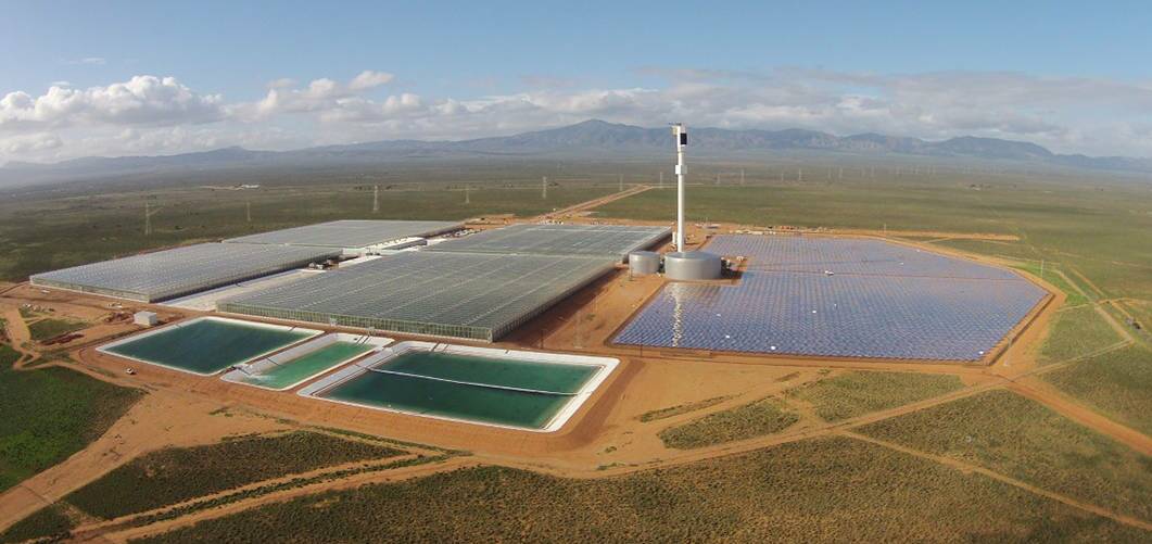 Eco-champion Sundrop is located near Port Augusta in South Australia.