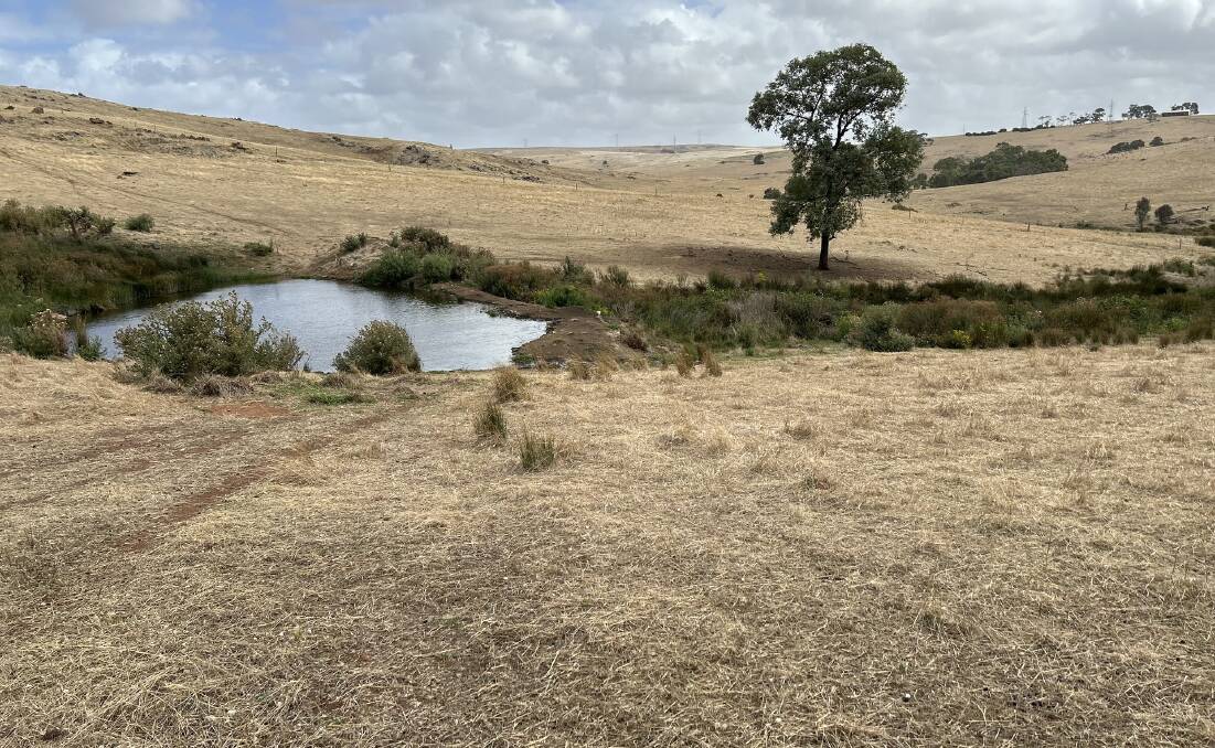 The Proudes have recently been running sheep across the well-watered block on the lower EP. Pictures from Elders Real Estate