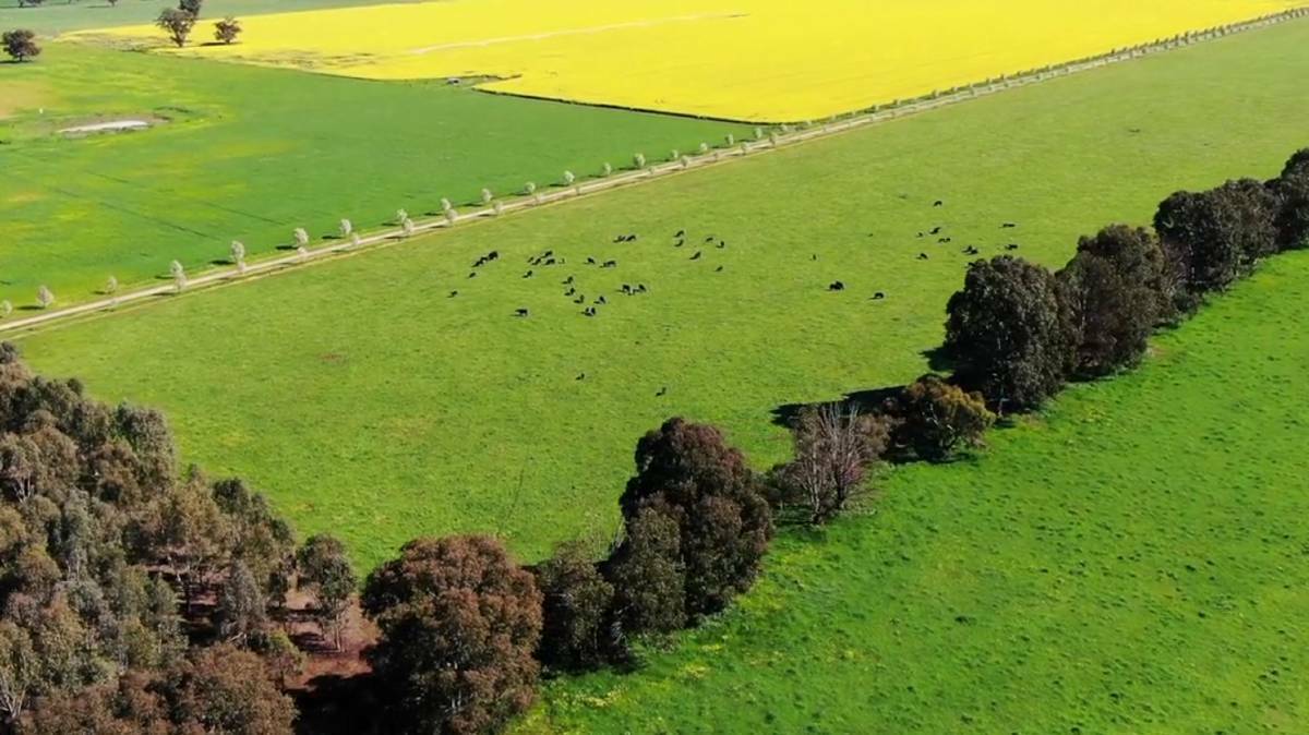 This southern NSW mixed farming property near Albury sold at auction for $7.11 million, or about $35,373/ha ($14,335/acre).