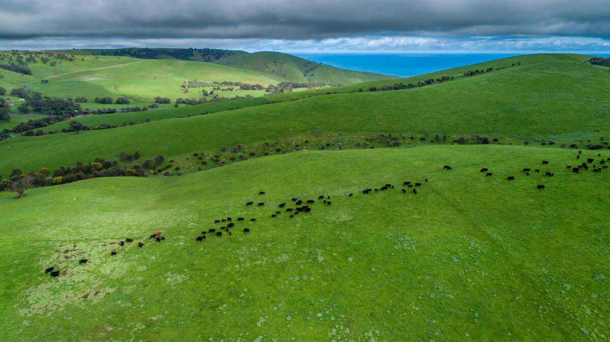 Spectacular farming country on the Fleurieu Peninsula. Pictures from Colliers.