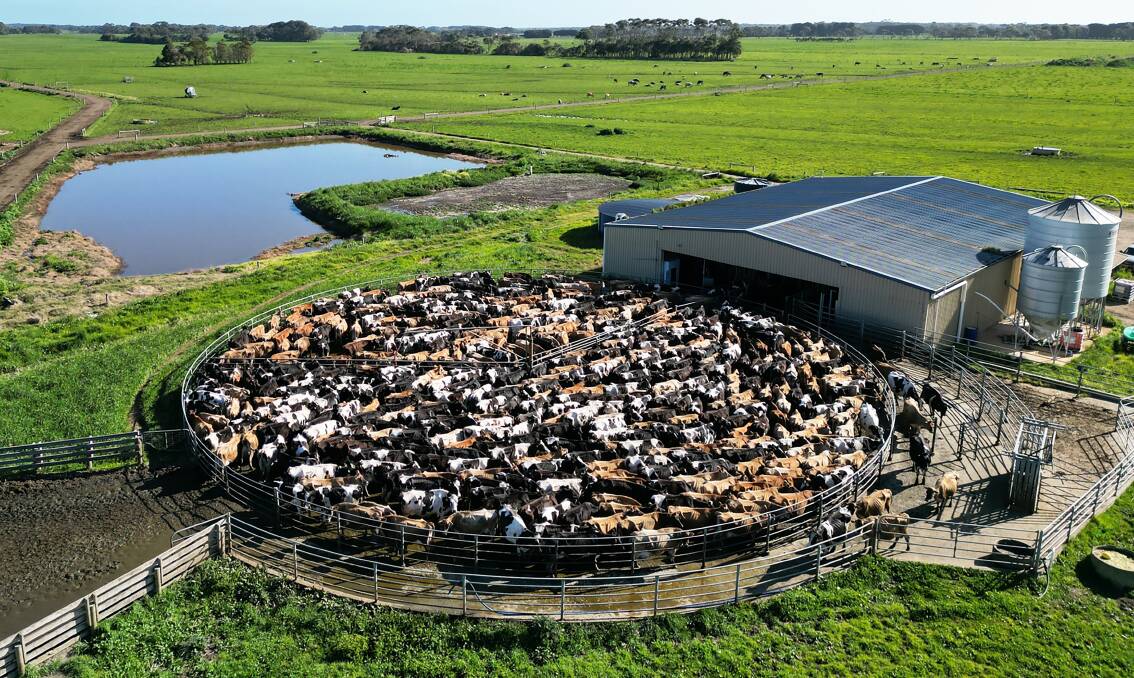 The Brucknell dairy features a 50-unit rotary operation. Pictures from Elders