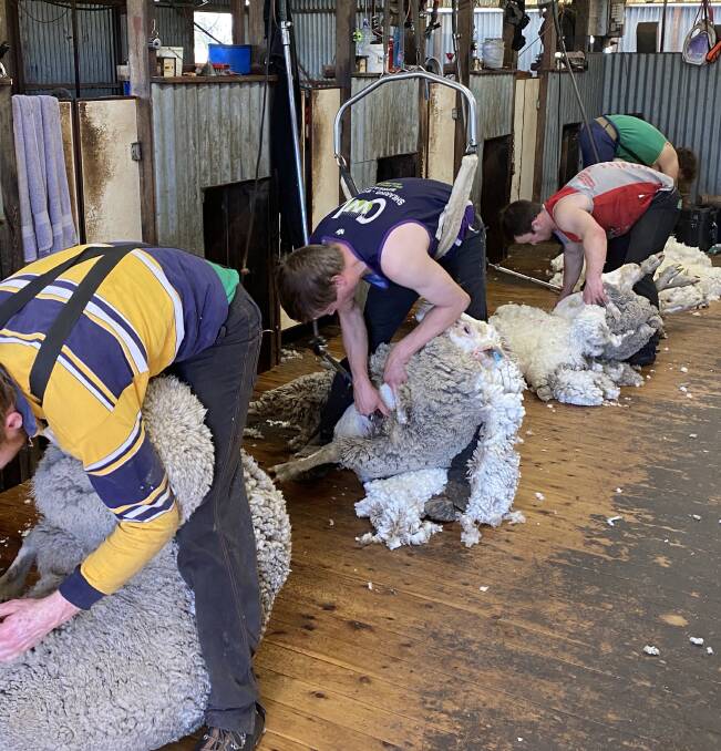 Some farmers are working around the shearer shortage by having a go themselves.