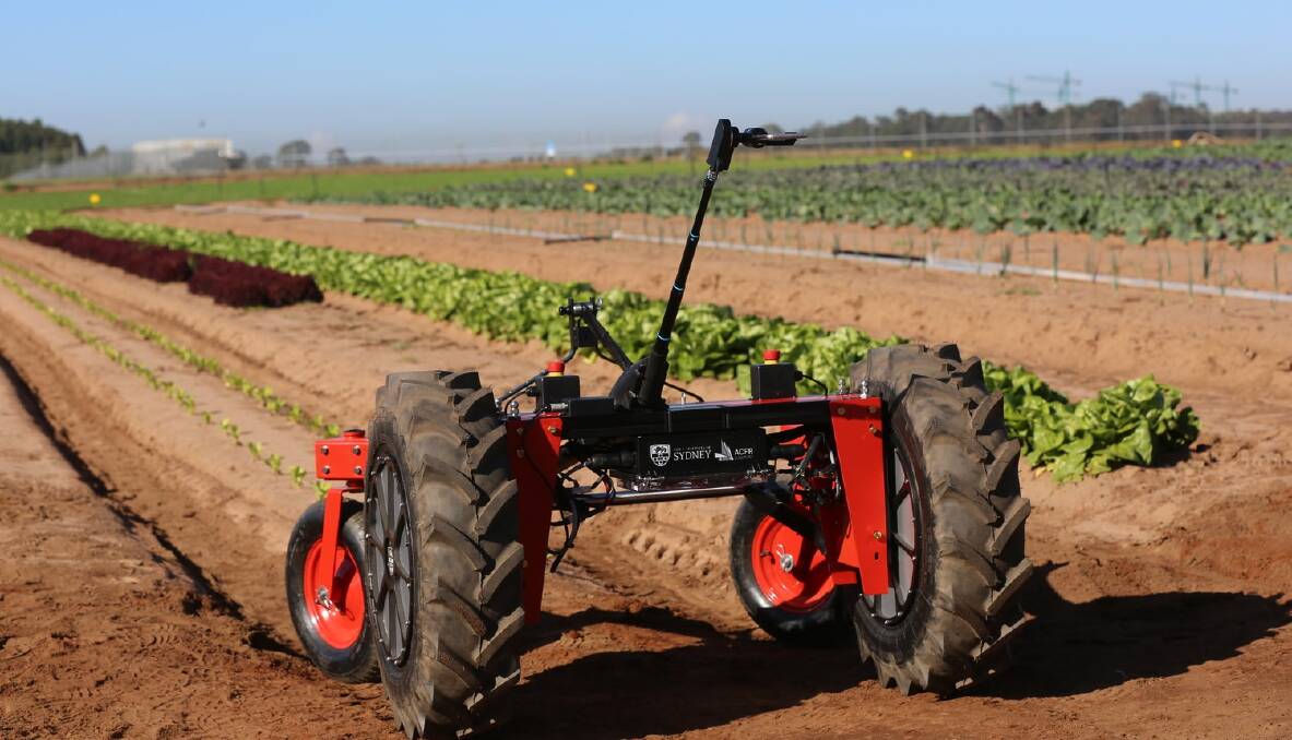 The Victorian government is the latest to invest in the autonomous farm robot. Picture: University of Sydney.