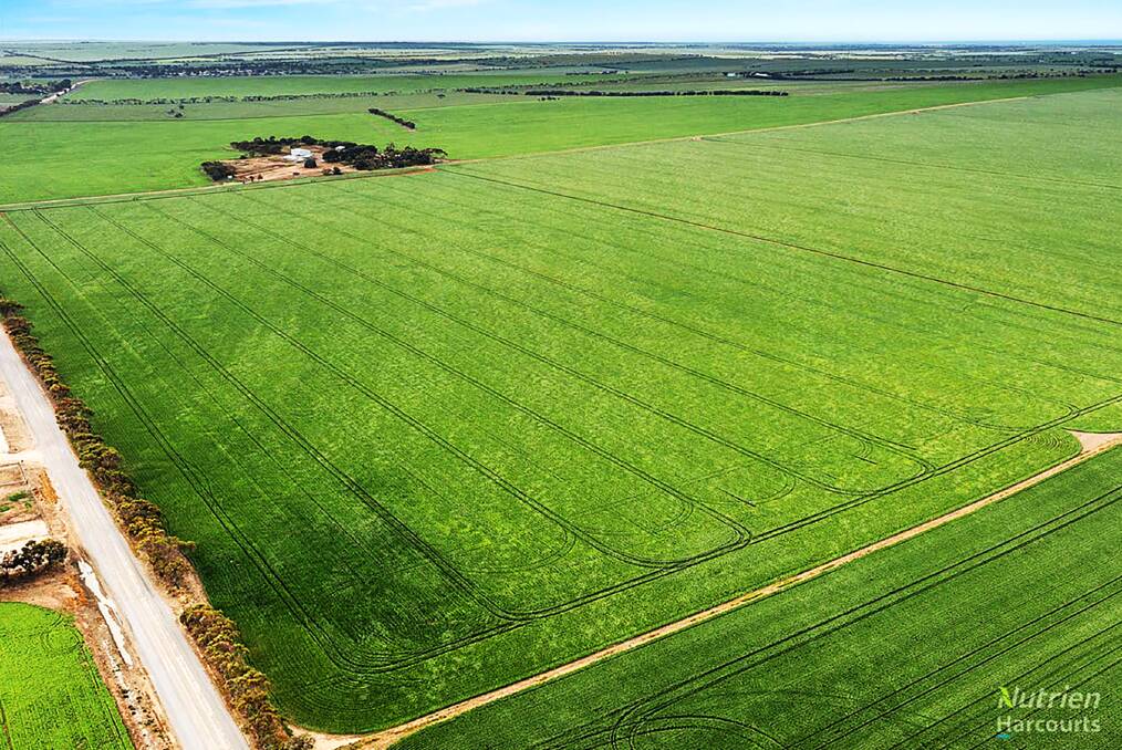Cropping country is in red hot demand on the Yorke Peninsula with several farm auctions in the next few weeks. Pictures from Nutrien Harcourts