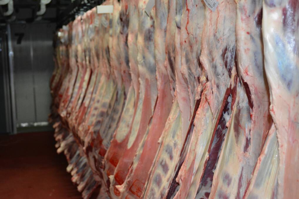Sheepmeat will be the initial focus of a joint Saudi-South American buyup of meat processing capacity in Australia.