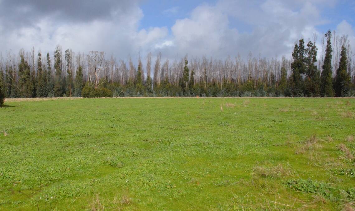 Kangaroo Island farm land containing a burned blue gum plantation attracts spirited bidding for its grazing potential. Pictures from Elders Real Estate.