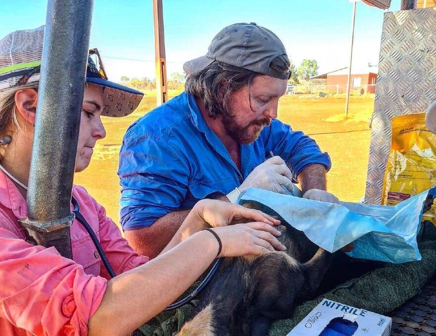 Dr Campbell Costello working in a makeshift surgery in outback NT said the rapid spread of ehrlichiosis resembled "a war zone". 