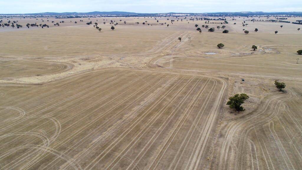 More cropping country in the Wimmera drew an amazing price at auction on Friday. Picture: Elders Real Estate.