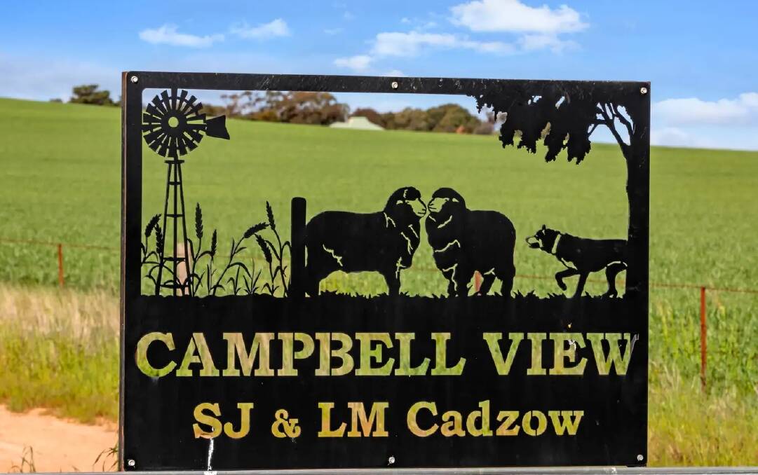 LAND SOLD: Shawn and Louise Cadzow were pleased with the sale of Campbell View across four lots north of Clare. Pictures: Ray White.