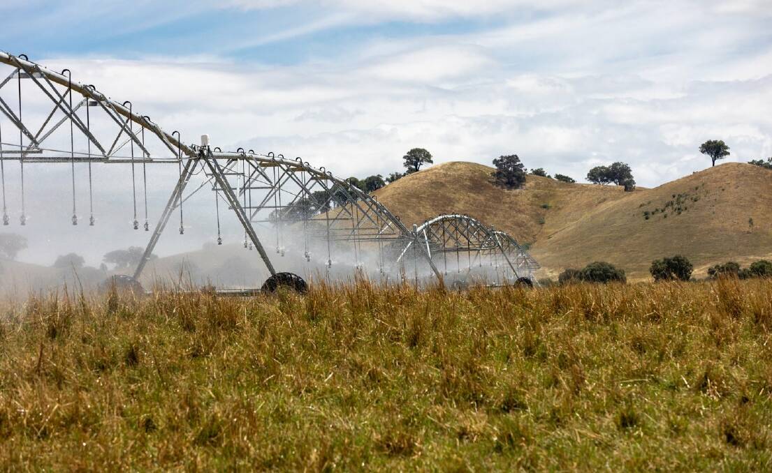 TWO PIVOTS: Secure water is the key to this proven grazing property near Tarcutta. Pictures: Webster Nolan Real Estate.