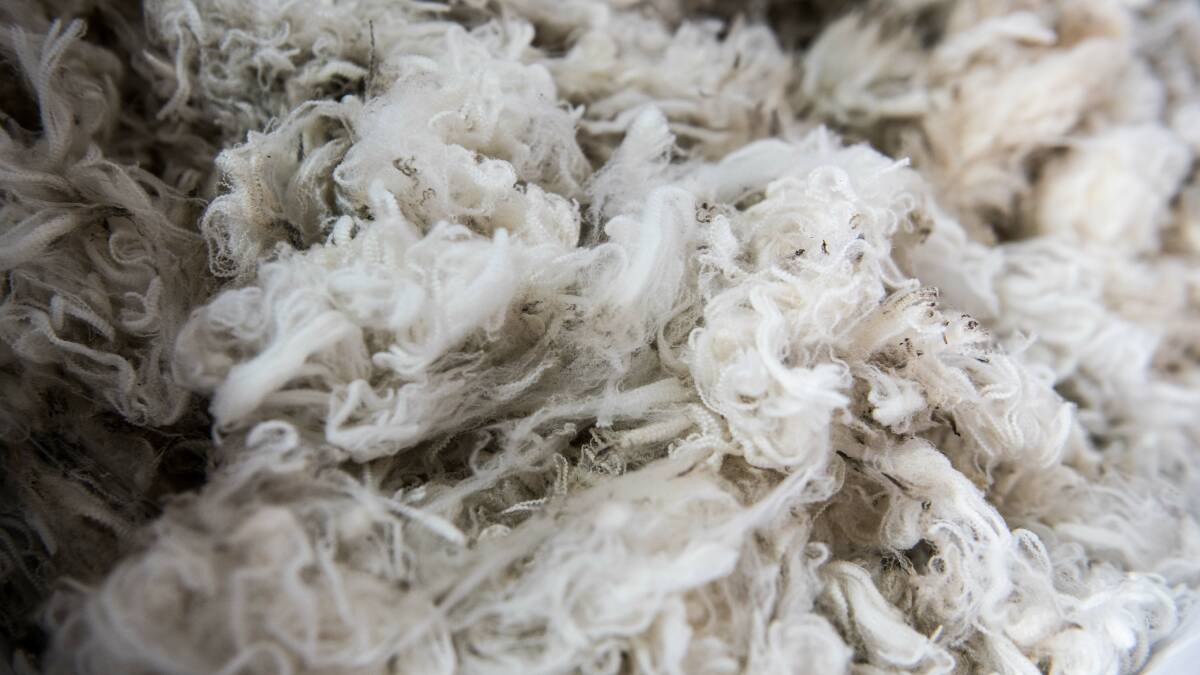 FMD WORRY: Like Australia, South Africa is heavily reliant on sales of its wool to China.