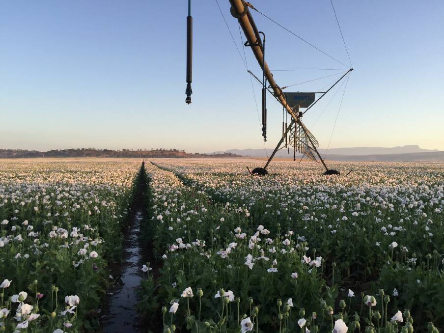SALE-O: US investment farm Proterra Investment Partners was encouraged by the sale of its cropping country in western Victoria to offer its three big farm aggregations across Tasmania, NSW and Queensland. Picture: LAWD.