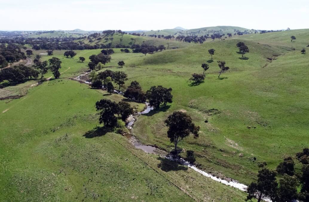 Two permanent creeks flow through both properties in this choice grazing country near Yass. Pictures: LAWD.