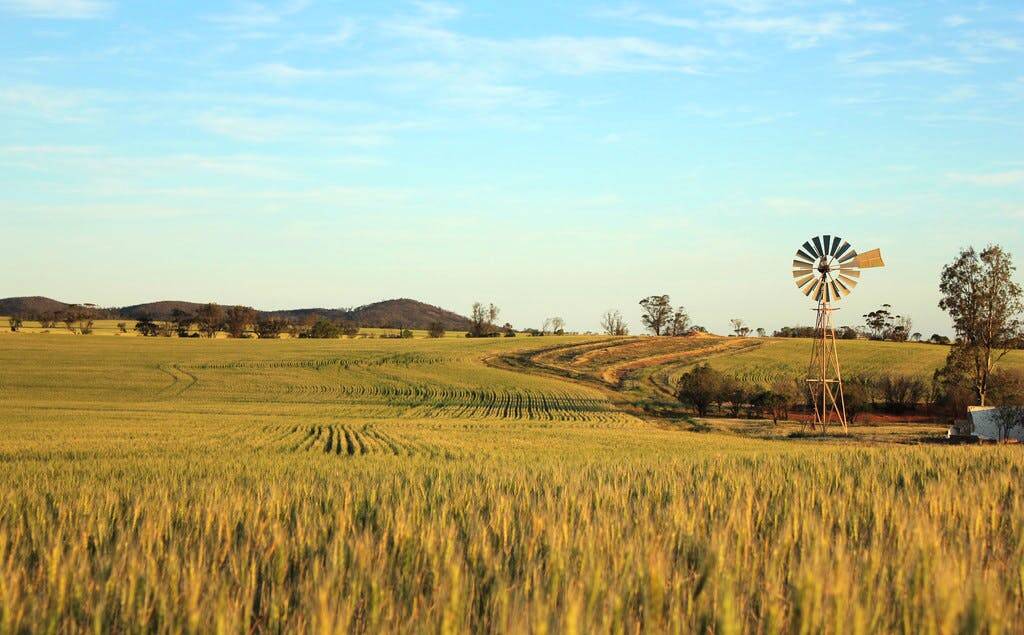 MIXED FARMING: Broadacre cropping is available on a big scale near Kimba. Pictures: Elders.