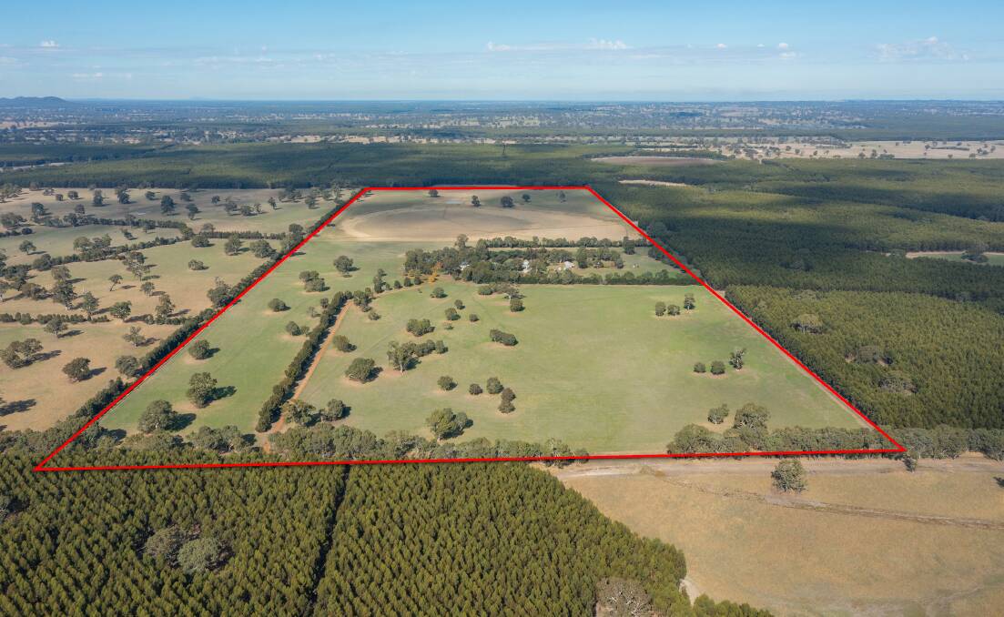 There has already been strong interest in buying the Pern family's long-held grazing property near Balmoral. Pictures: Charles Stewart. 
