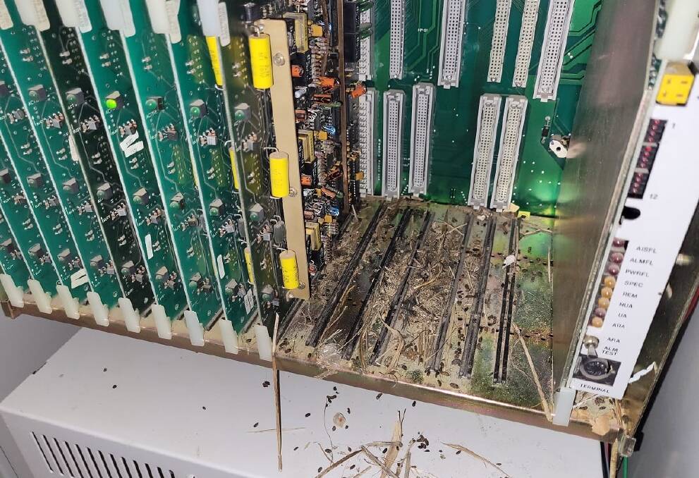 Telstra's transmission and internet equipment has provided a perfect warm environment for damaging mice to live in. Up to 50 mice live in a space as big as a bedroom closet. Picture: Telstra.