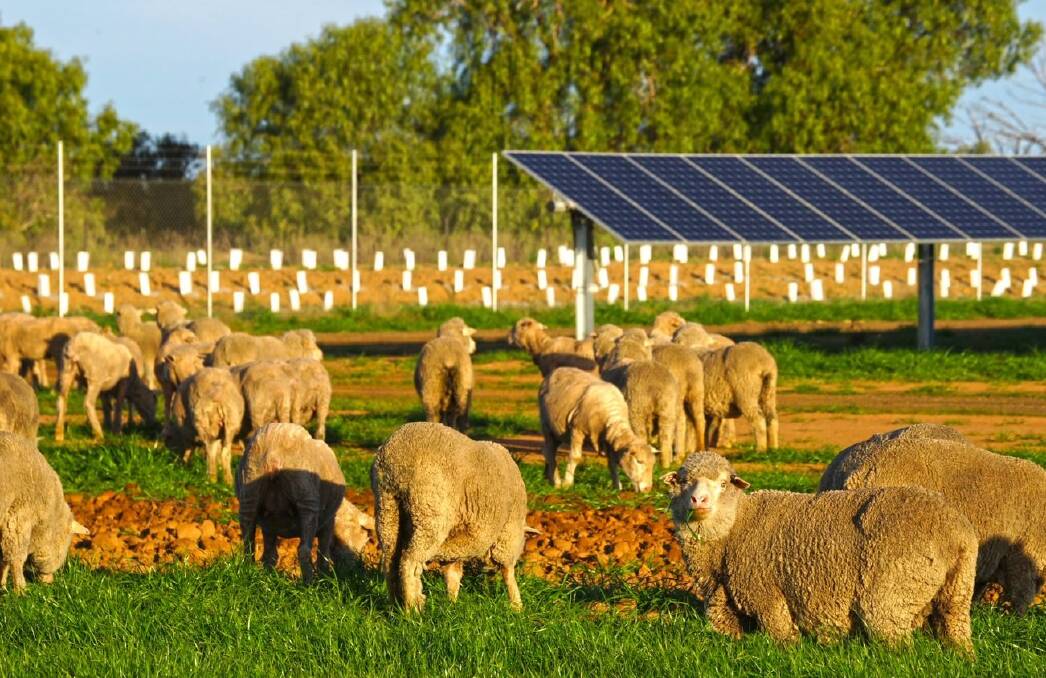 There are fears the rush to renewable energy will come at the cost to rural communities, and productive farm land.