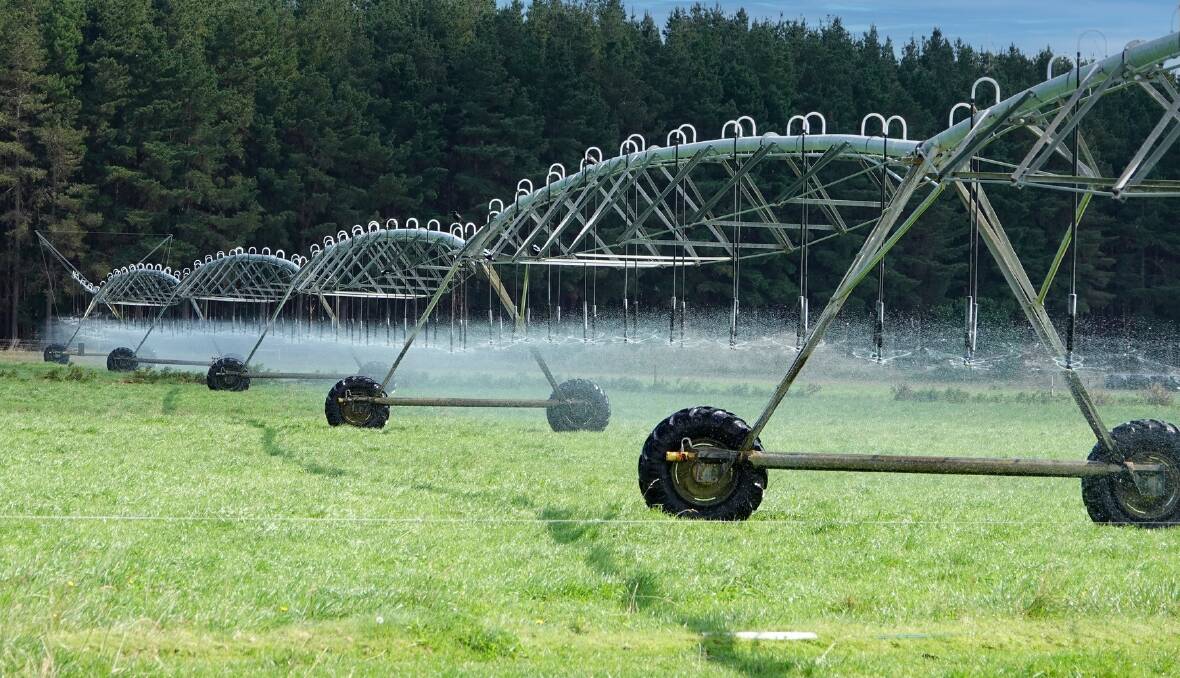 High rainfall and lots of pivot irrigation at Bowds Dairy.