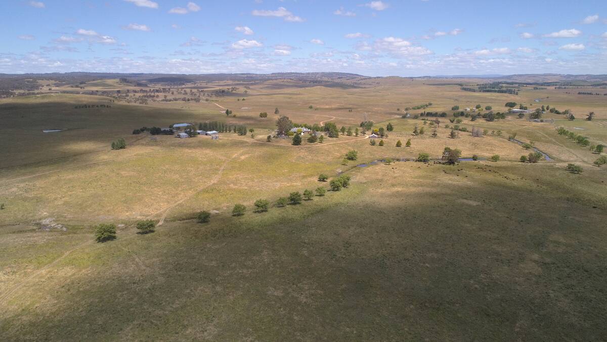Premier grazing country at Emu Creek.