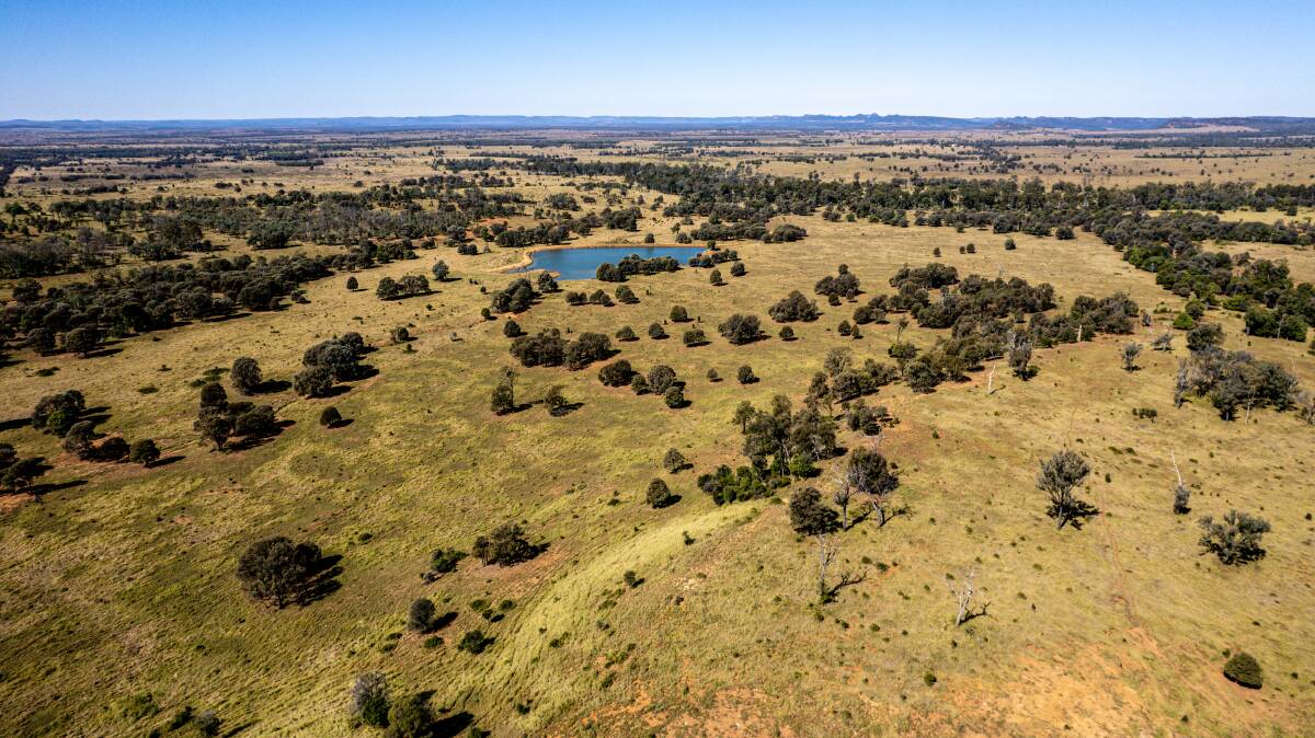 Theodore cattle property Malo has sold at a Hourn and Bishop Queensland auction for a record-breaking $3142/acre last spring.