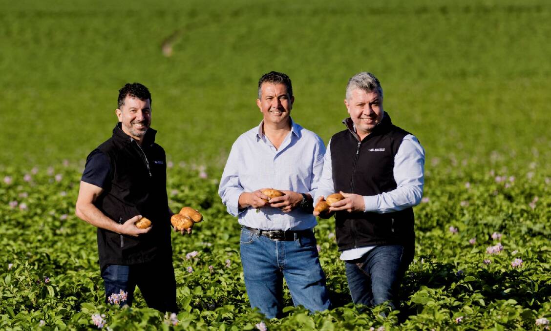 Darren, John and Frank Mitolo from Mitolo Family Farms after winning the 2021 Coles Fresh Produce Supplier of the Year Award. 