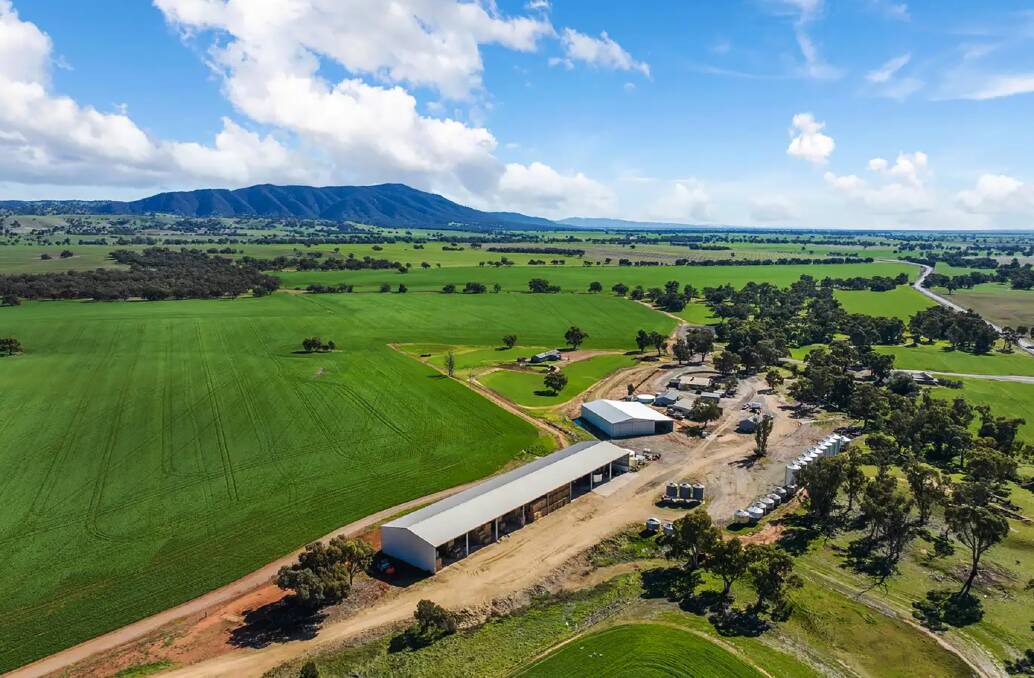 Shanahans' strategic move to sell four farms in Upper Mid North of SA
