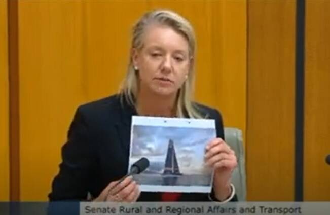 Senator Bridget McKenzie with a picture of the Italian entry, saying the famous Woolmark logo was hardly visible. Picture from federal parliament.