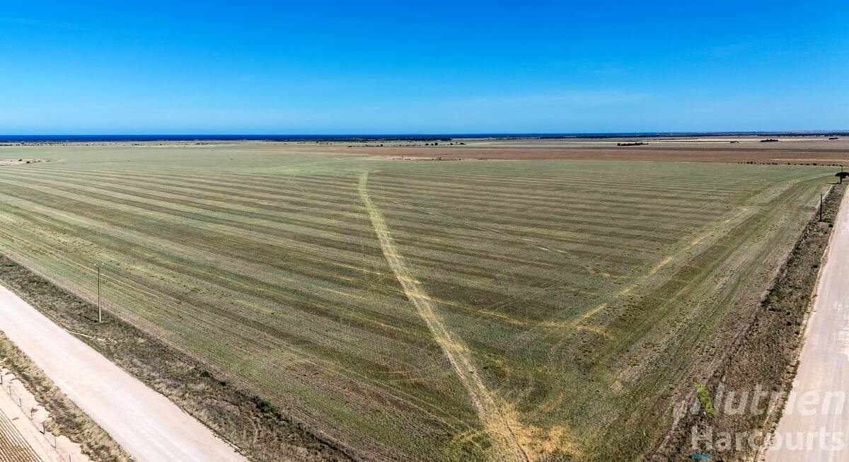 Big price paid at auction yesterday afternoon for YP farm land even with a salt lake. Pictures from Nutrien Harcourts.