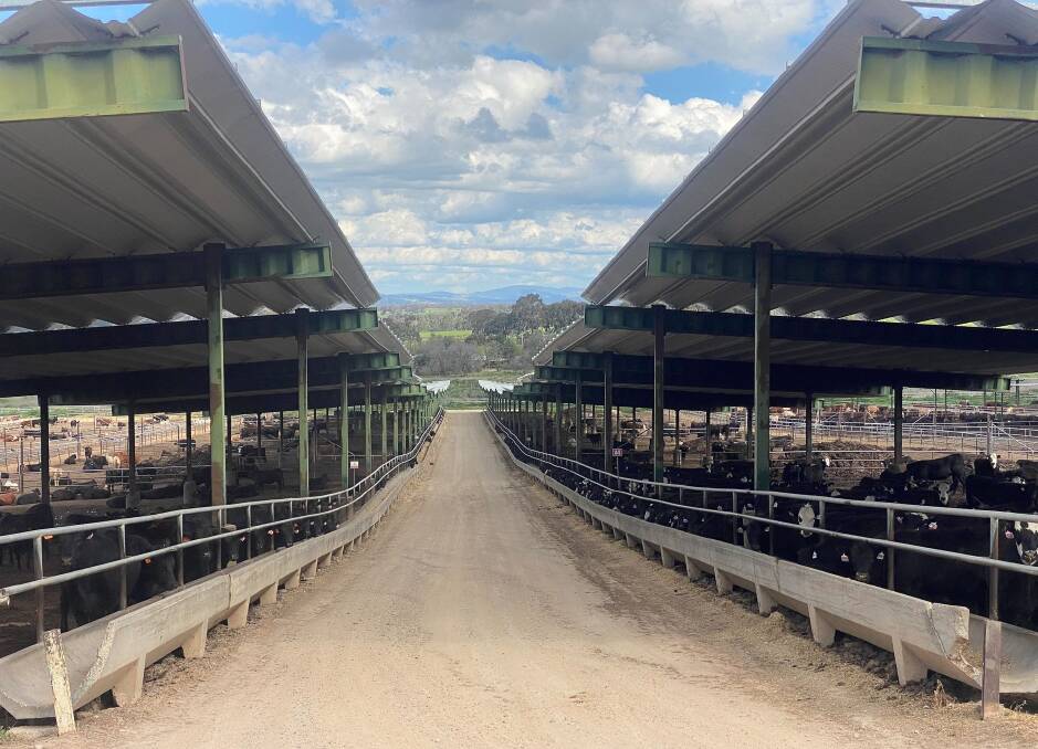 Ladysmith Feedlot near Wagga Wagga is on the market. Picture: LAWD.