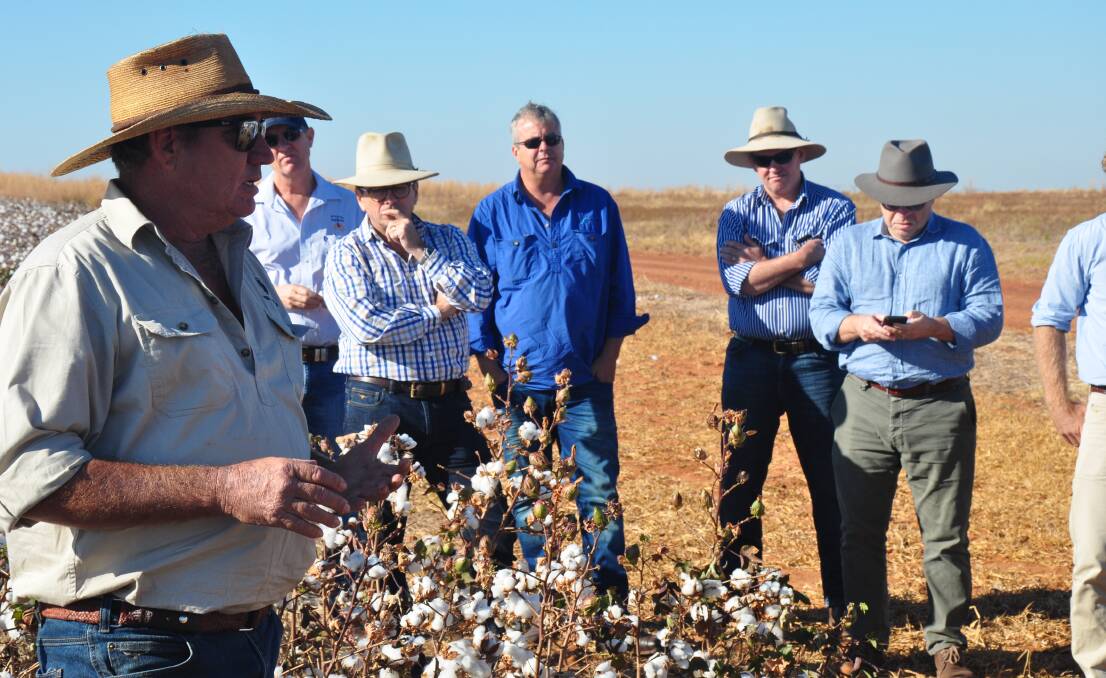Keen pastoralists attend a field day at Daly Waters in the NT where trial crops were successfully grown on wet season rain alone.