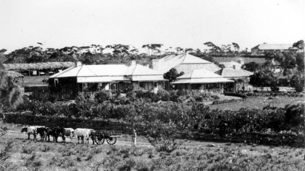 A bullock wagon in the road outside the Yararoo Station homestead built by William Fowler after 1859 on Yorke Peninsula. Picture: State Library of South Australia.