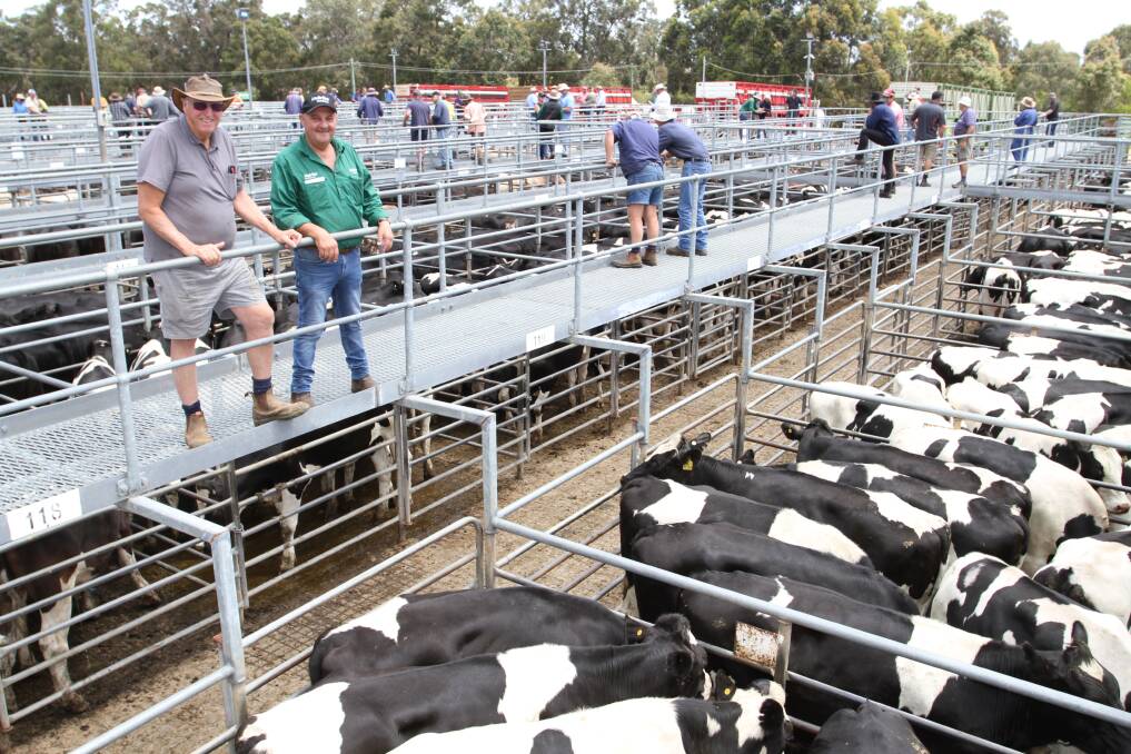 Number three on the list was in Western Australia, here are the smiling faces from a steer sale at Boyanup. Picture: Farm Weekly.