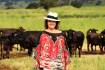 Kimberley sales kick off Gina Rinehart's cattle station auction