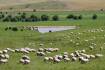 Esteemed judge closes the case on grazing farm