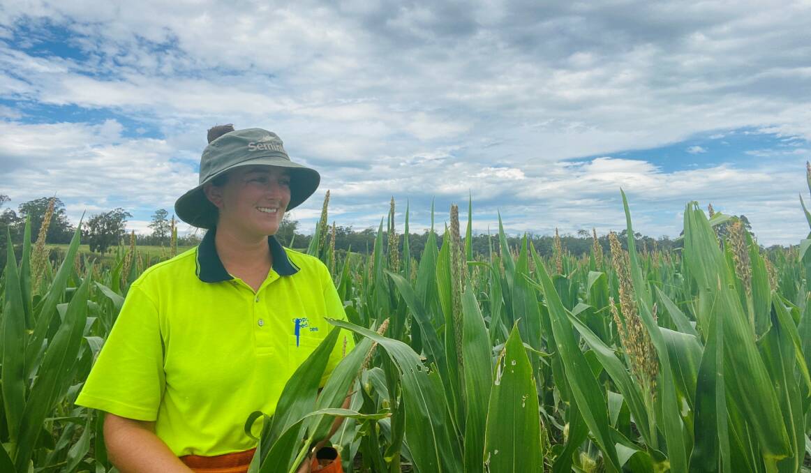 IT'S HERE: Smart thinking by Gippsland Seed Services production manager Marni Riordan led to the discovery of fall armyworm for the first time in Victoria. Picture: supplied.