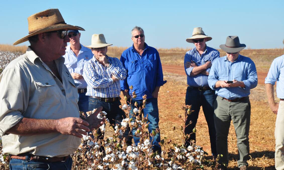Keen farmers attend a field day at Daly Waters in the NT where trial crops were successfully grown on wet season rain alone.