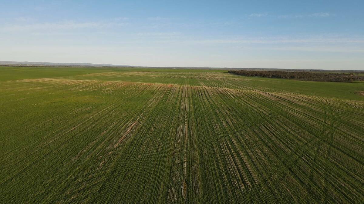 Easy working cropping blocks for sale in upper YP
