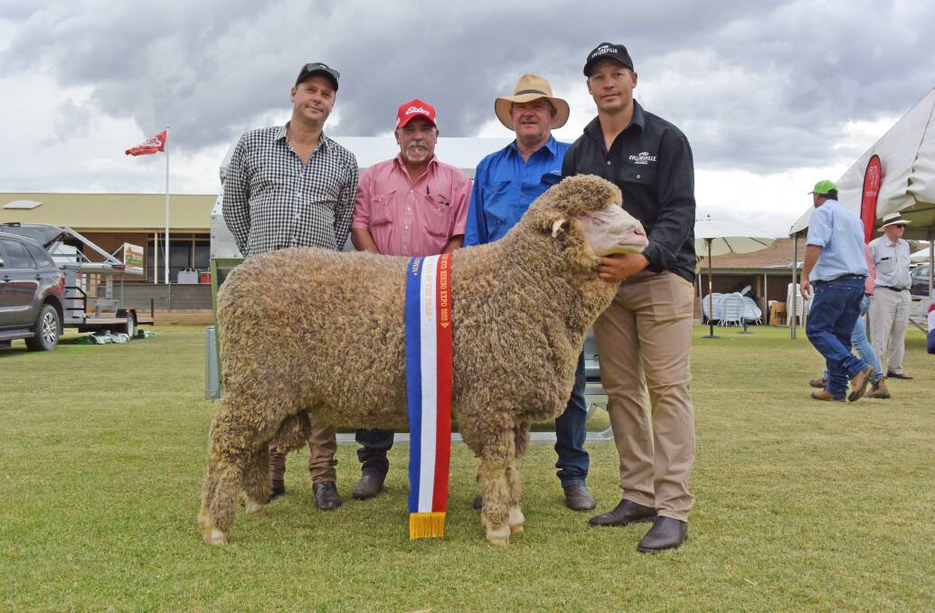 Proven performers - Elders SA Merino Expo ram of the year was won by Collinsville stud in July. Collinsville's George Millington, Elders Burra branch manager Nick Brooks, Cam Munro, Warren, NSW, Tony Brooks and Tim Dalla.
