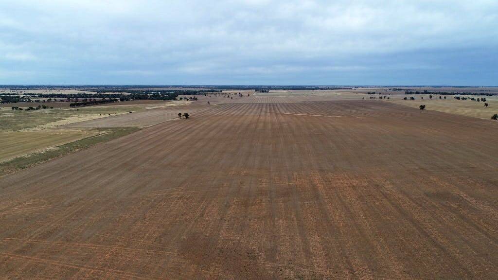 GOOD PRICE: A neighbour paid just over $2 million for this 206ha 'versatile' cropping/grazing country near Marnoo. Picture: Elders Real Estate.