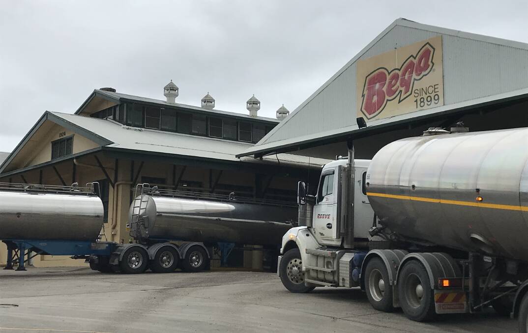 Bega's bottom line takes a hit from high milk prices