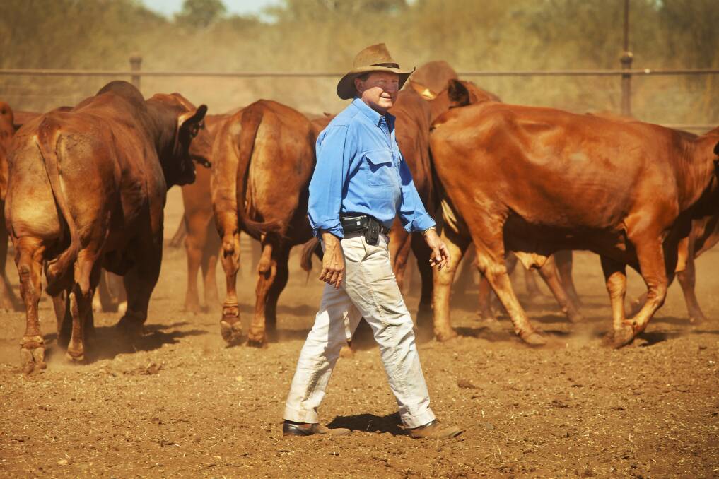 BIG PICTURE: Andrew "Twiggy" Forrest has plans to transform outback cattle stations to renewable energy hubs with a mix of wind, solar and hydrogen.