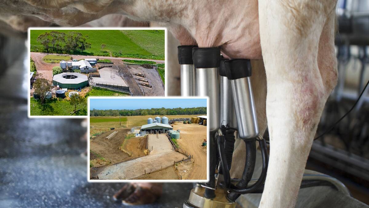 Two quality dairy farms are on the market in south-west Victoria. Pictures from Charles Stewart