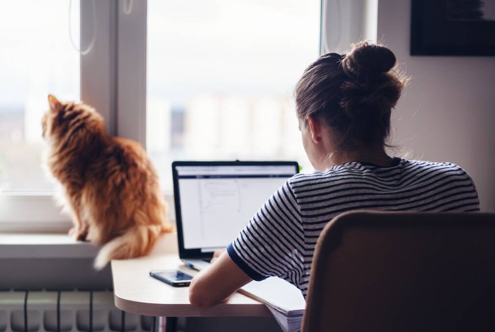 Pets are popular sidekicks on online meetings with colleagues, as are little kids, and food.