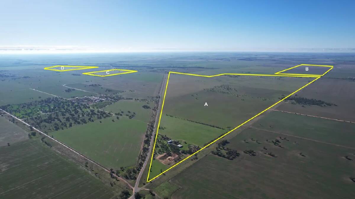Solid price paid for mixed farming land on the edge of the Victorian Mallee